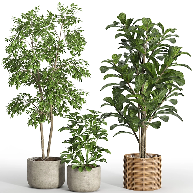 33-Piece Indoor Plant Set 3D model image 8