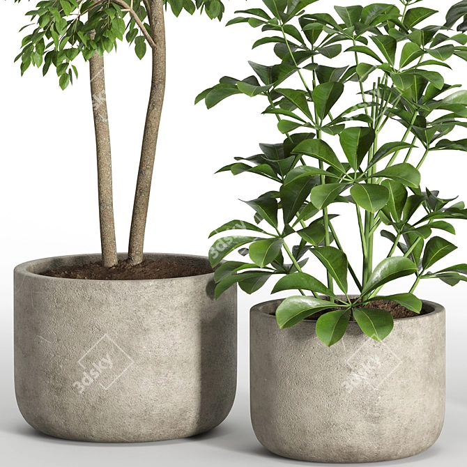 33-Piece Indoor Plant Set 3D model image 11