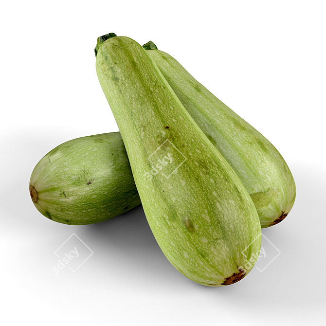 Delicious Zucchini: Fresh Harvest Vegetable 3D model image 1