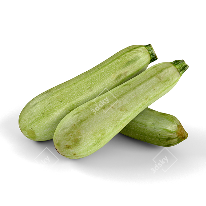 Delicious Zucchini: Fresh Harvest Vegetable 3D model image 2