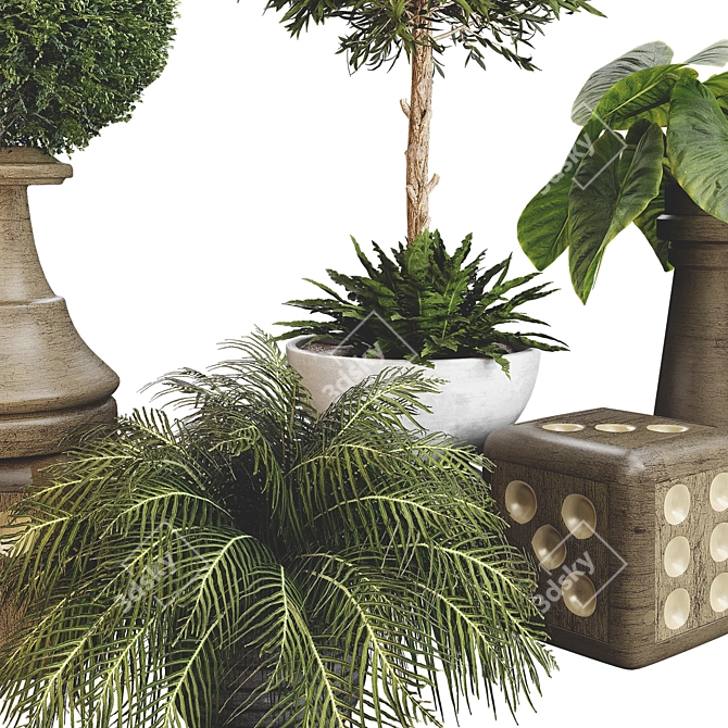 Tropical Outdoor Plant Collection 3D model image 4