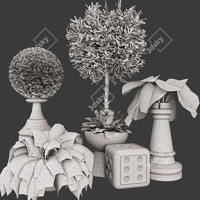 Tropical Outdoor Plant Collection 3D model image 6