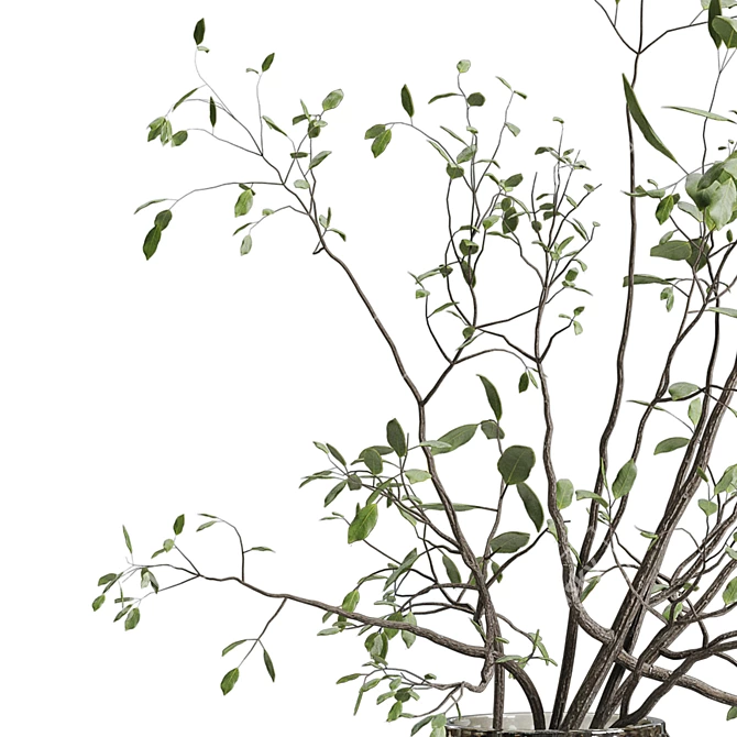 White Branches in Glass Vase 3D model image 3