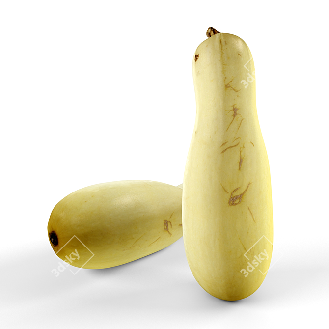 Giant Zucchini Seeds 3D model image 1