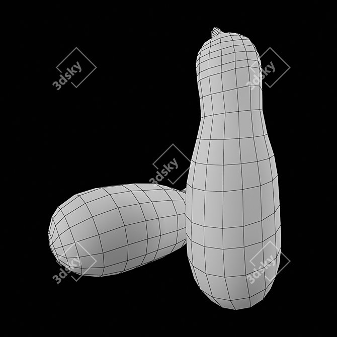 Giant Zucchini Seeds 3D model image 4