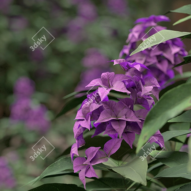 Rhododendron Ponticum Trio Live Plants 3D model image 2