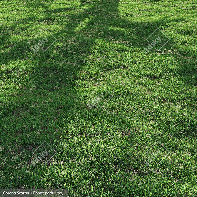 High-Quality Bermuda Grass Package 3D model image 1