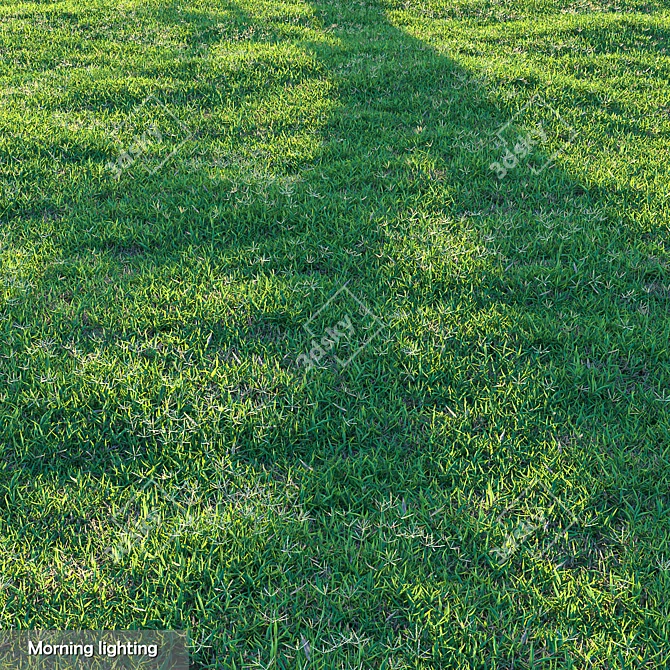 High-Quality Bermuda Grass Package 3D model image 4