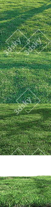 High-Quality Bermuda Grass Package 3D model image 6