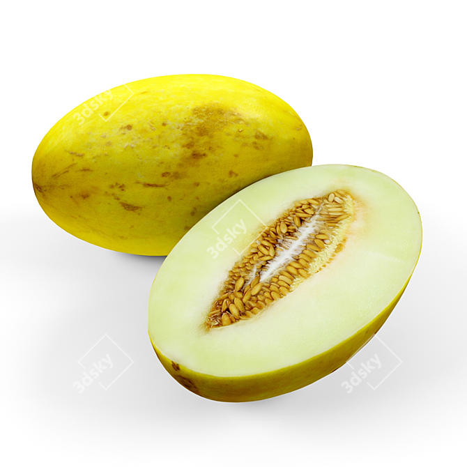 Sweet Summer Melon 3D model image 1