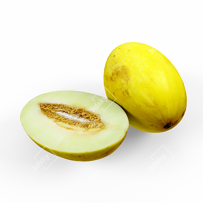 Sweet Summer Melon 3D model image 2