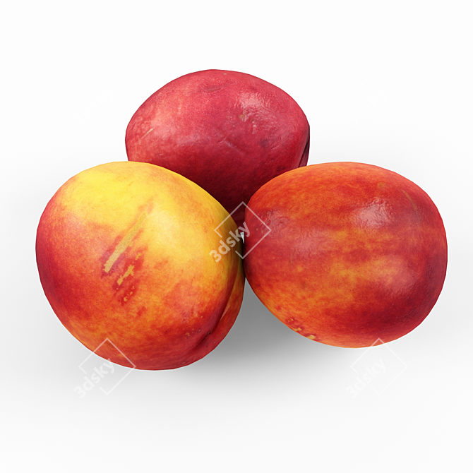 Juicy Nectarines 3D model image 2