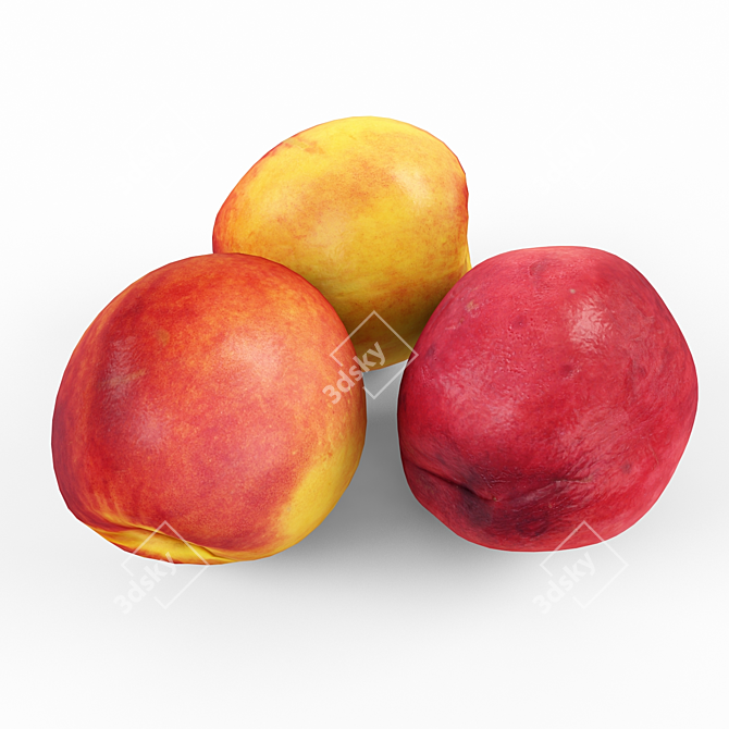 Juicy Nectarines 3D model image 3