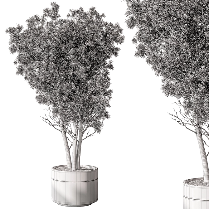 Tree in Pot: Outdoor Plant 3D model image 3