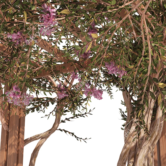 Exquisite Crape Myrtle Pergola Model 3D model image 2