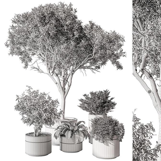  429 Indoor Plant Set (Vray) 3D model image 5