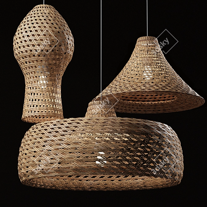 Rattan Pendant Lights Trio: Vray, Corona 3D model image 1