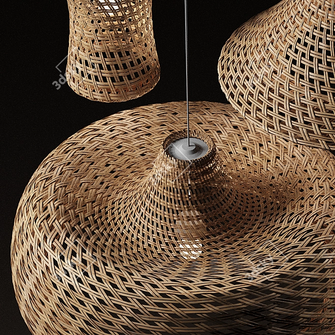 Rattan Pendant Lights Trio: Vray, Corona 3D model image 4