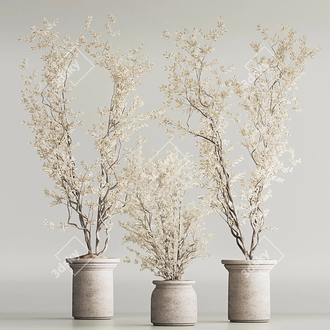 Modern Dry Indoor Plant Set 3D model image 2