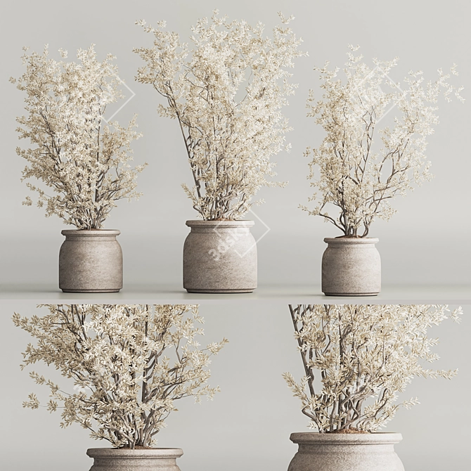 Modern Dry Indoor Plant Set 3D model image 3