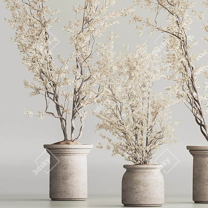 Modern Dry Indoor Plant Set 3D model image 5