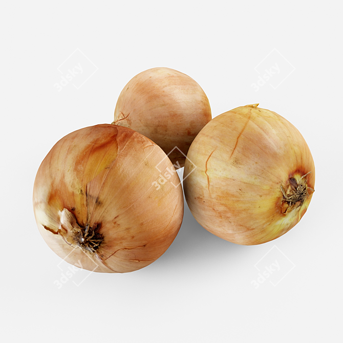 Sweet Onion Bulbs 3D model image 1