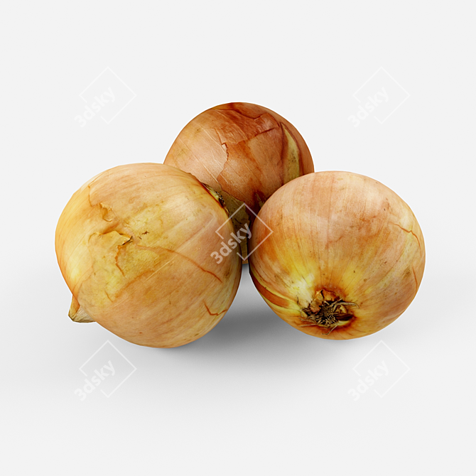 Sweet Onion Bulbs 3D model image 2