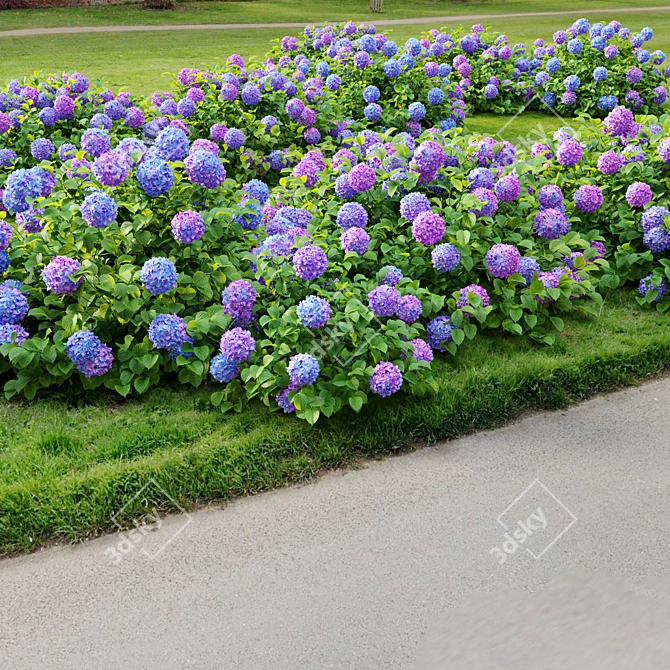 Hydrangea Bush Trio, Hortensia Polys 3D model image 4