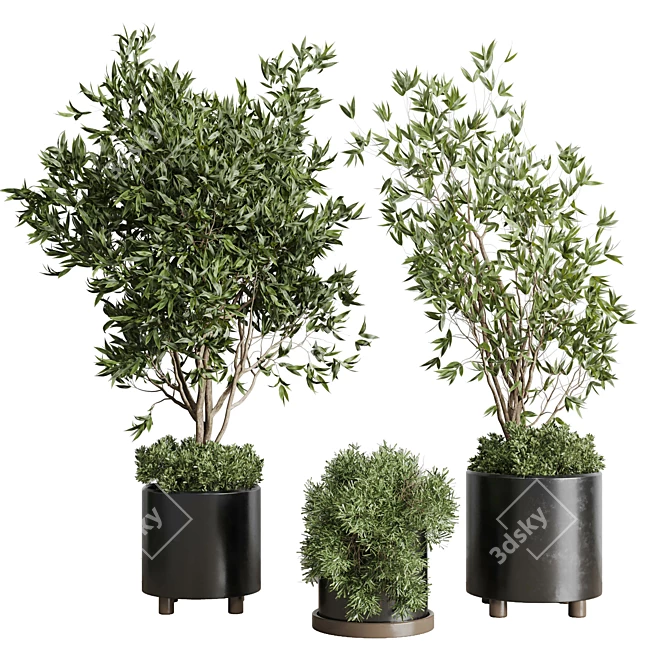 Concrete Vase Indoor Plant Set 3D model image 2