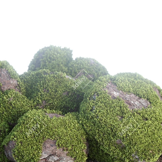 Mossy Rock Scatter Collection 3D 3D model image 4