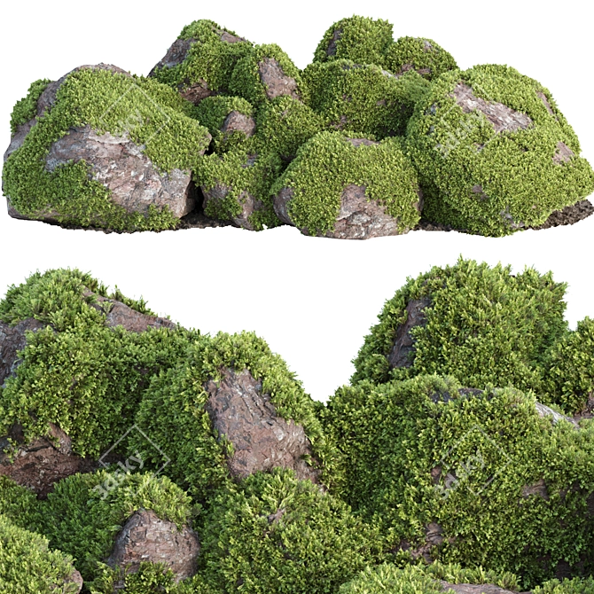 Mossy Rock Scatter Collection 3D 3D model image 8