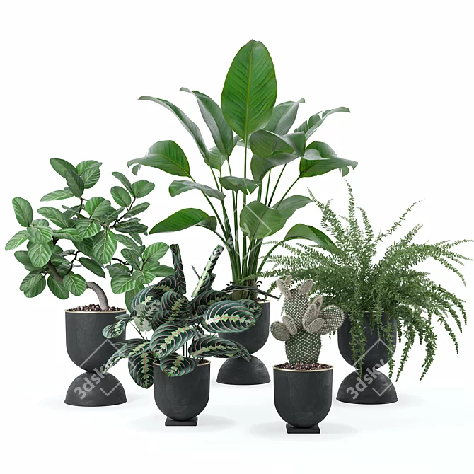 Vibrant Plant Collection Bundle 3D model image 1