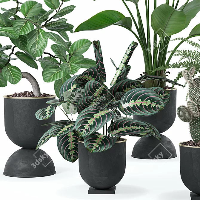 Vibrant Plant Collection Bundle 3D model image 3