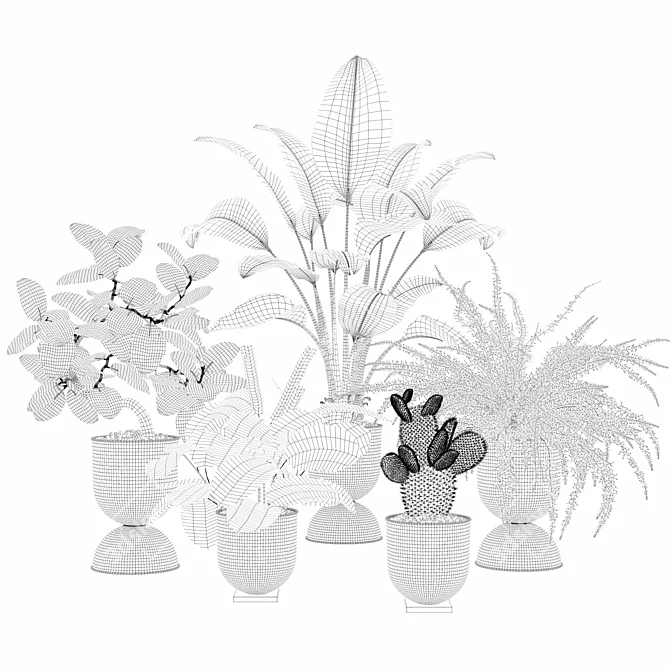 Vibrant Plant Collection Bundle 3D model image 5