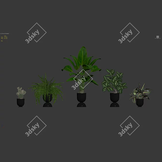 Vibrant Plant Collection Bundle 3D model image 7