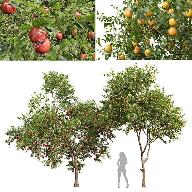 Fruity 3D Models Set 3D model image 1