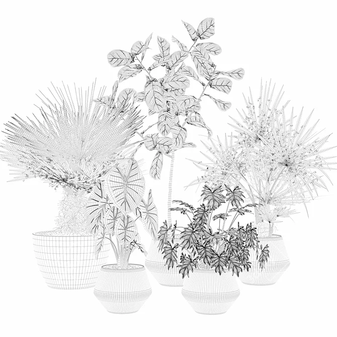 Botanical Bundle 3D Models Collection 3D model image 4