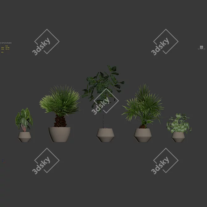 Botanical Bundle 3D Models Collection 3D model image 6