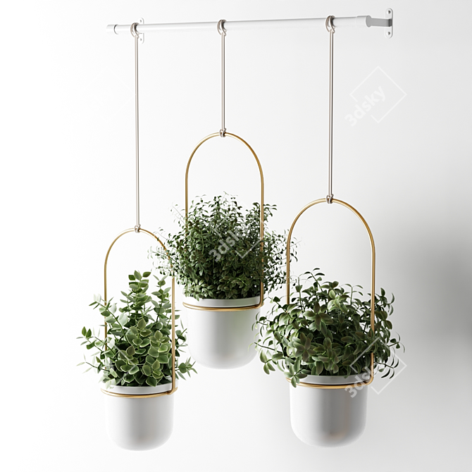 Hanging Pot Cactus Stand 3D model image 5