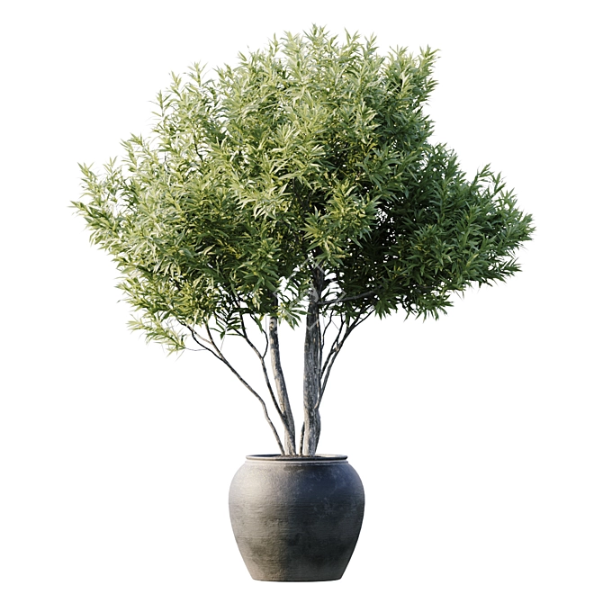 3D Plant Model with High Polys 3D model image 2