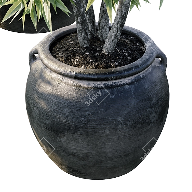 3D Plant Model with High Polys 3D model image 4