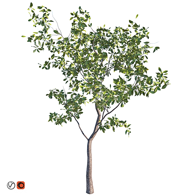 Outdoor Plant 03 (2016 Edition) 3D model image 1