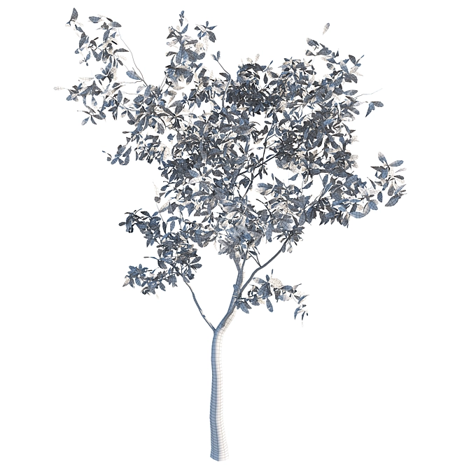 Outdoor Plant 03 (2016 Edition) 3D model image 3