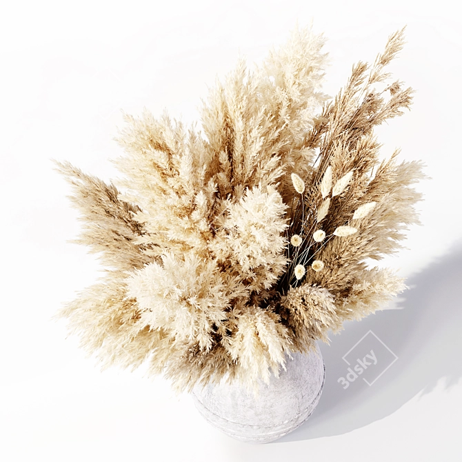 Premium Dried Pampas Grass Model 3D model image 4