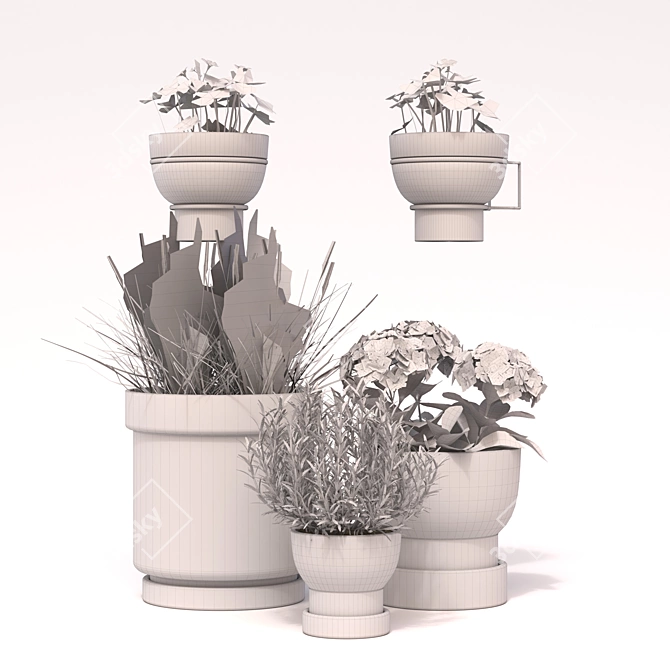 Modern Indoor Plant Set 3D model image 2