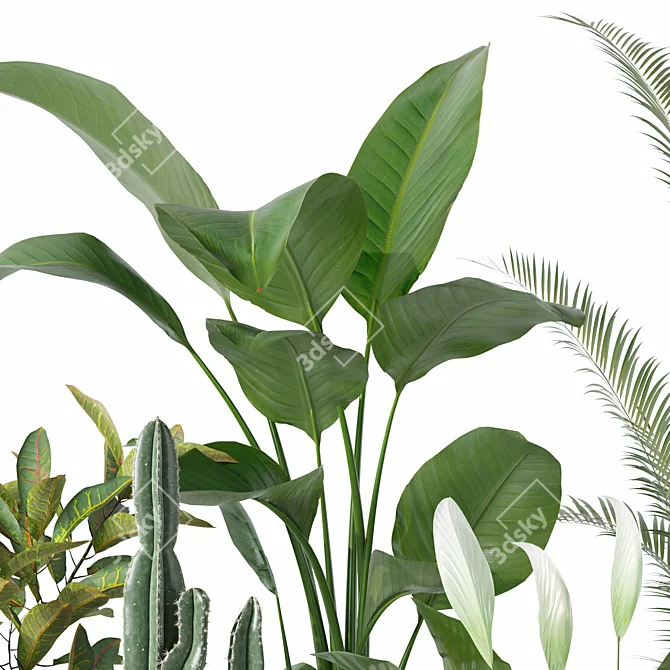 Diverse Plants Collection 3D Models 3D model image 3