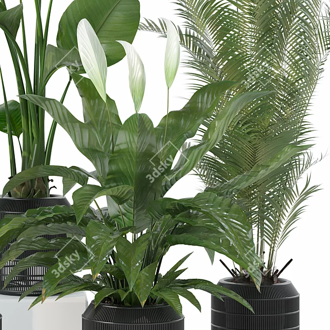 Diverse Plants Collection 3D Models 3D model image 4