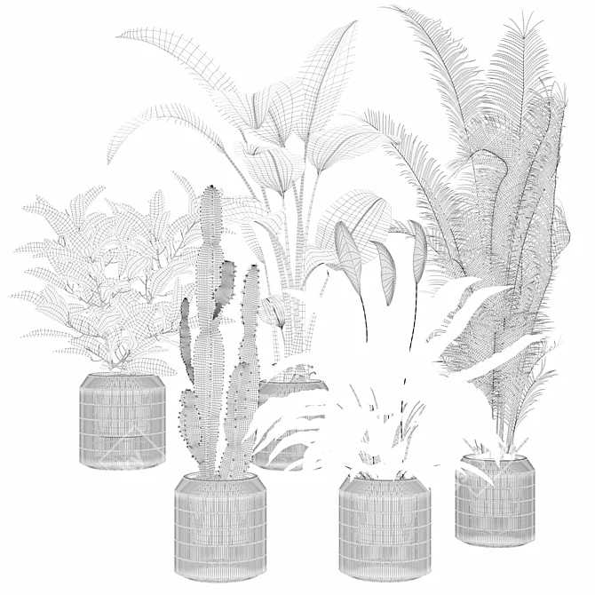 Diverse Plants Collection 3D Models 3D model image 5