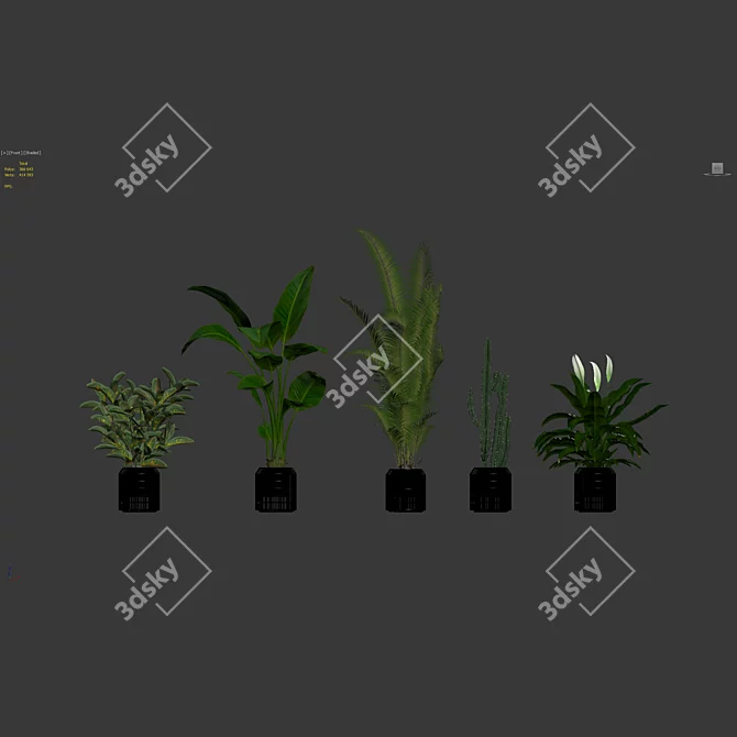 Diverse Plants Collection 3D Models 3D model image 7