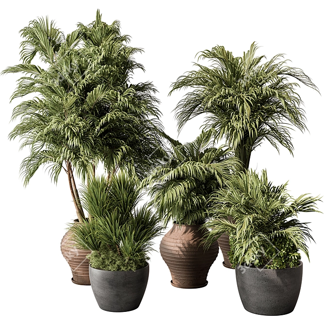 Tropical Outdoor Plant 459 3D model image 1